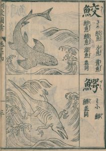 近江の鯉と鰐が戦う話 説話百景