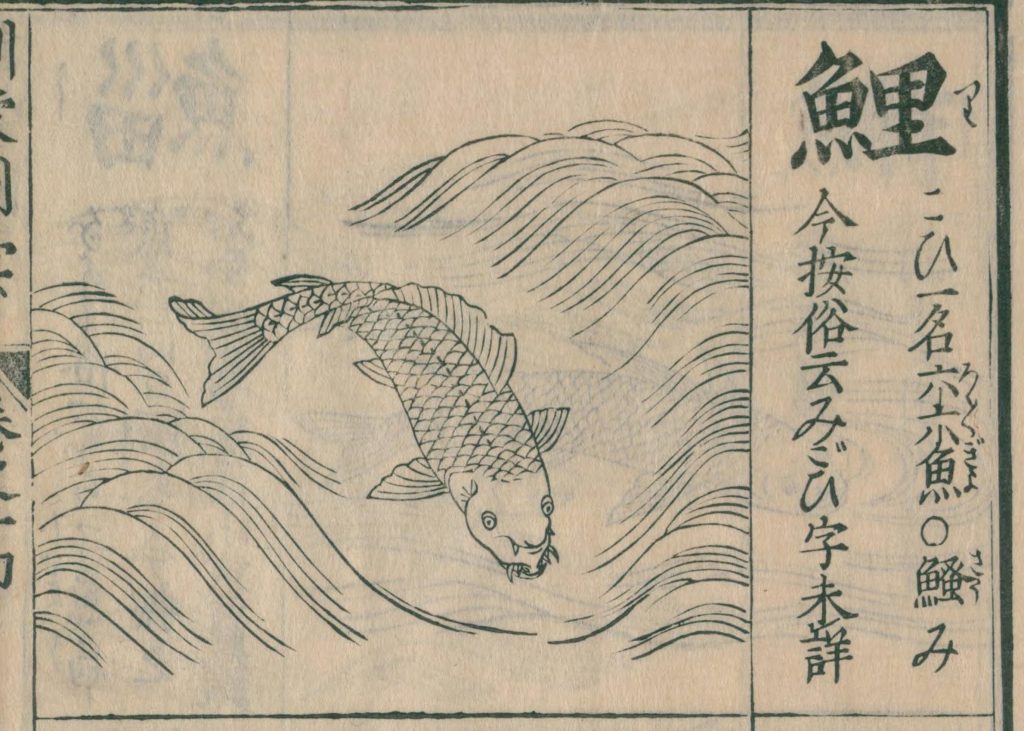 近江の鯉と鰐が戦う話 | 説話百景